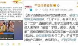 媒体爆料陈亚楠事件视频,真相与争议交织